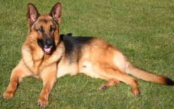 Kaiser