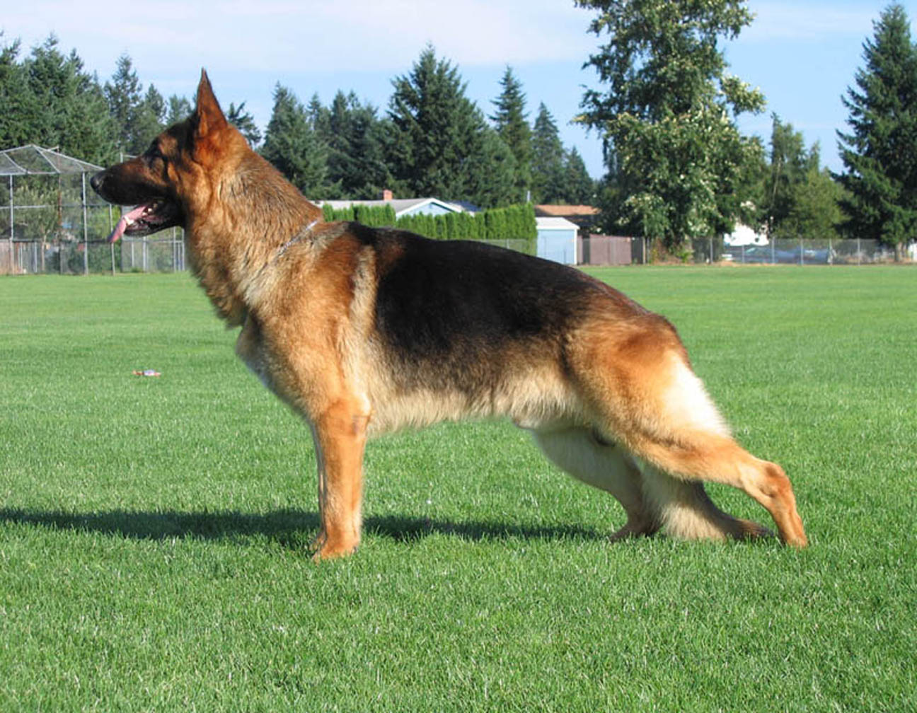 Kaiser