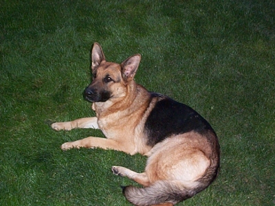 Jessie