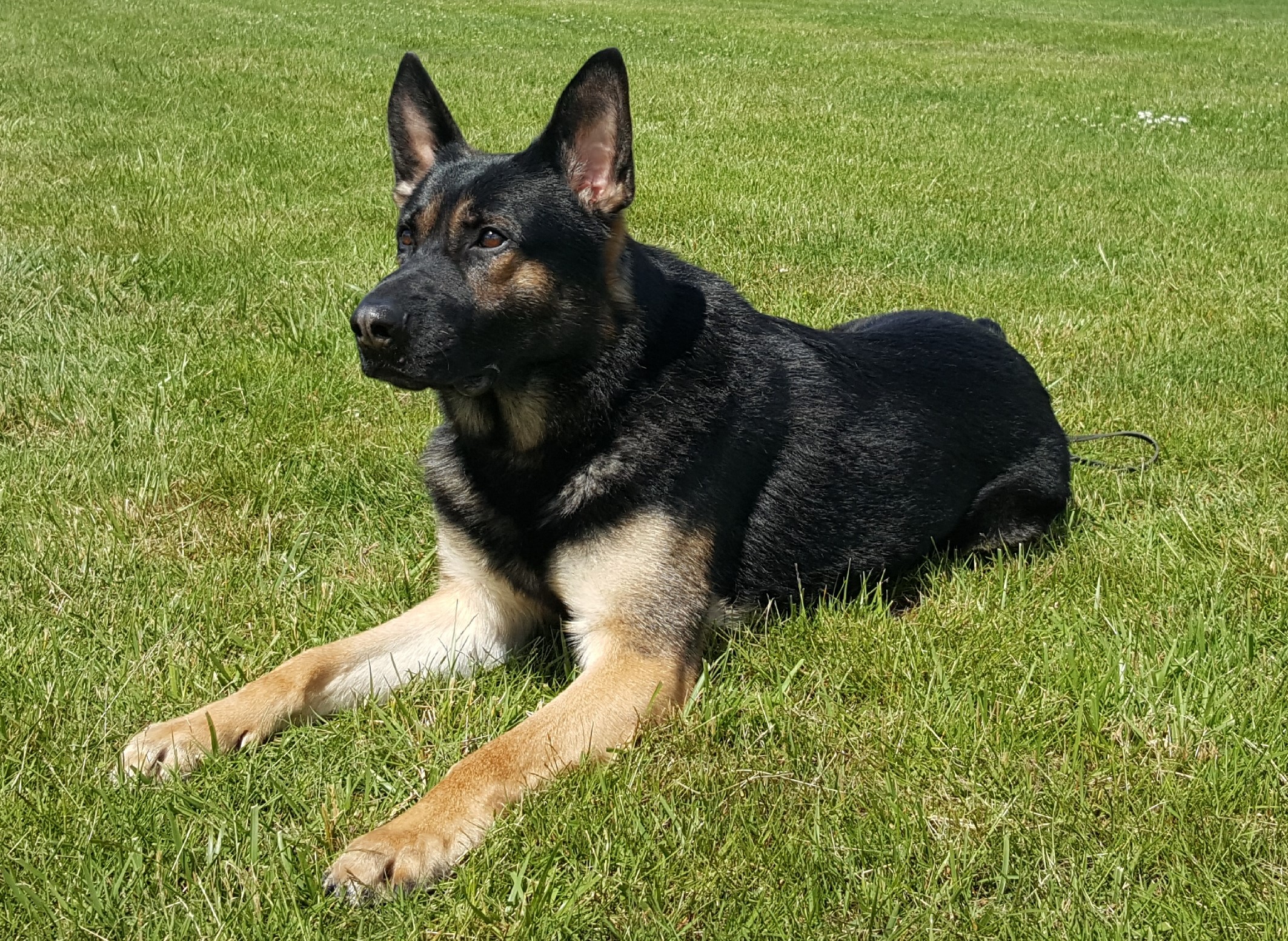 Kilo